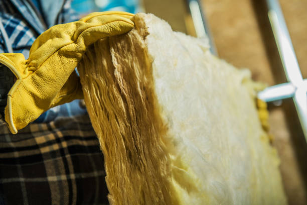 Best Energy Efficiency Insulation in Woodfield, SC