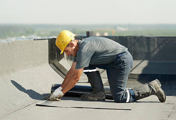 Best DIY Insulation Kits and Guidance in Woodfield, SC