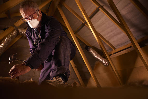 Best Commercial Insulation in Woodfield, SC