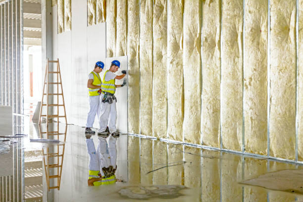 Best Geographic-Specific Insulation Services in Woodfield, SC